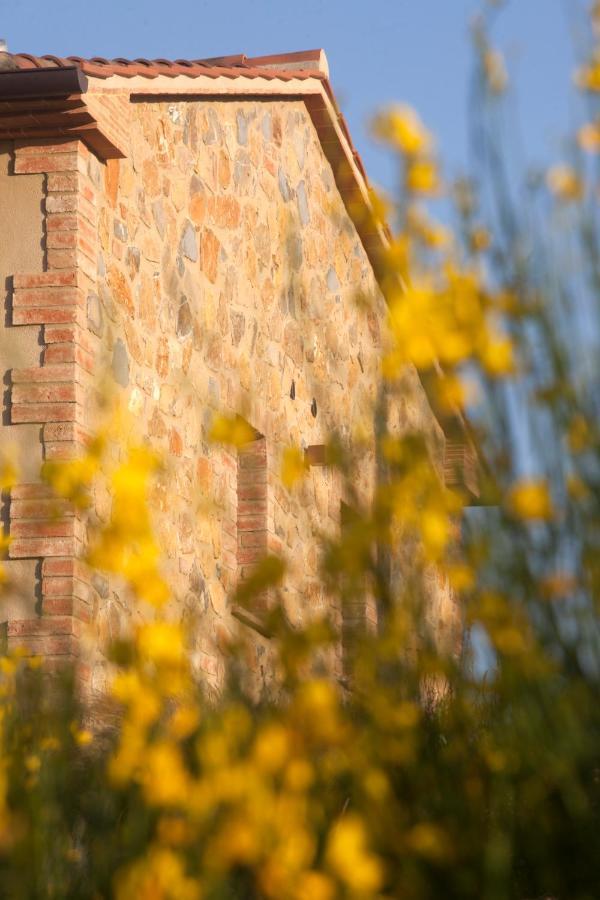 Casale Sterpeti Bed & Breakfast Magliano in Toscana Ngoại thất bức ảnh