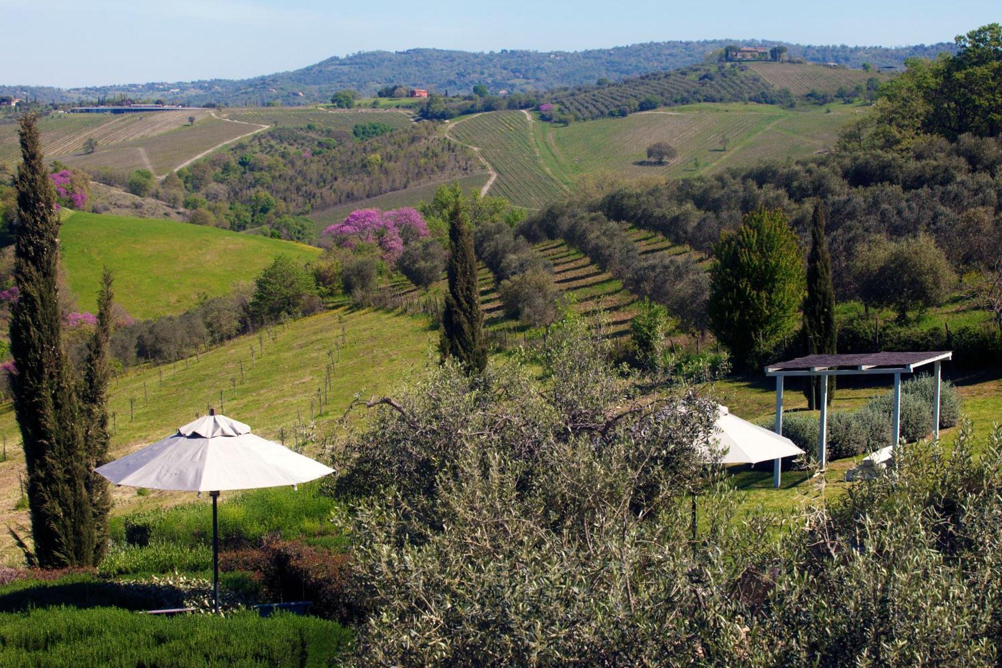 Casale Sterpeti Bed & Breakfast Magliano in Toscana Ngoại thất bức ảnh