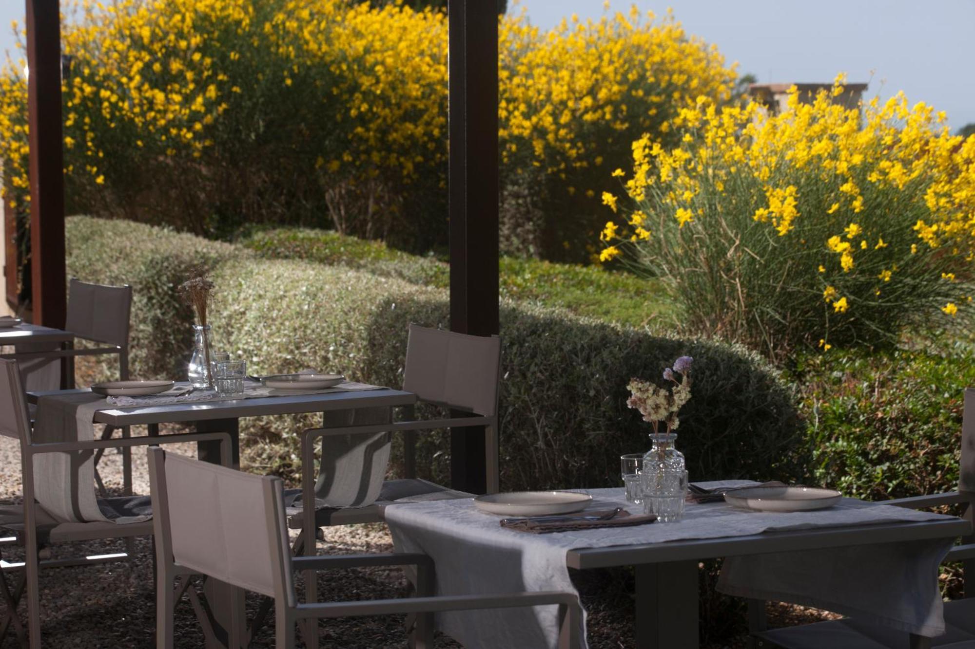 Casale Sterpeti Bed & Breakfast Magliano in Toscana Ngoại thất bức ảnh